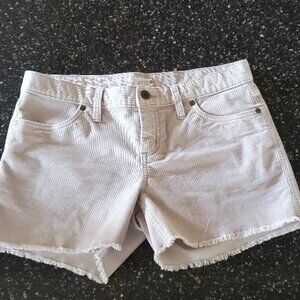 Women's Carve Oahu 4" Shorts